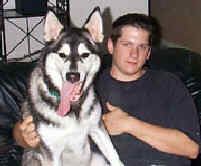 Andre and Jason have made a great family.  Andre is a Malamute that DVSHR placed to help another rescue.