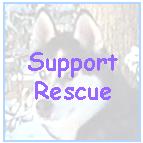 Suggested books for training your Siberian and just about anything else.