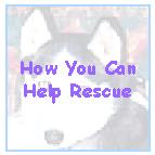 Help rescue siberian huskies
