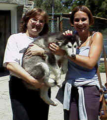 Lucy was turned into rescue from a neglect home life where the owner did not properly care for her and wanted her to just die. She is now loved very dearly by her new family.