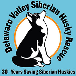 30-years-saving-siberian-huskies