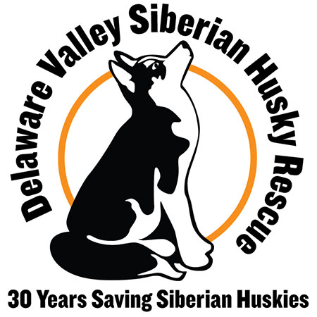 30th-anniversary-logo
