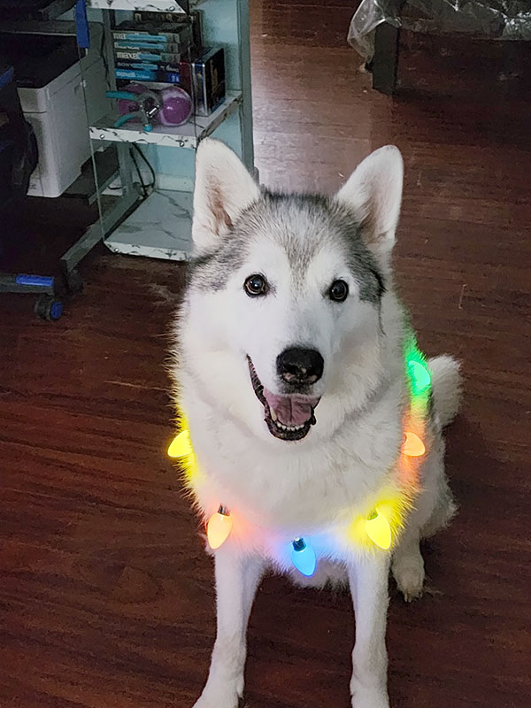 for-those-weve-lost-argo