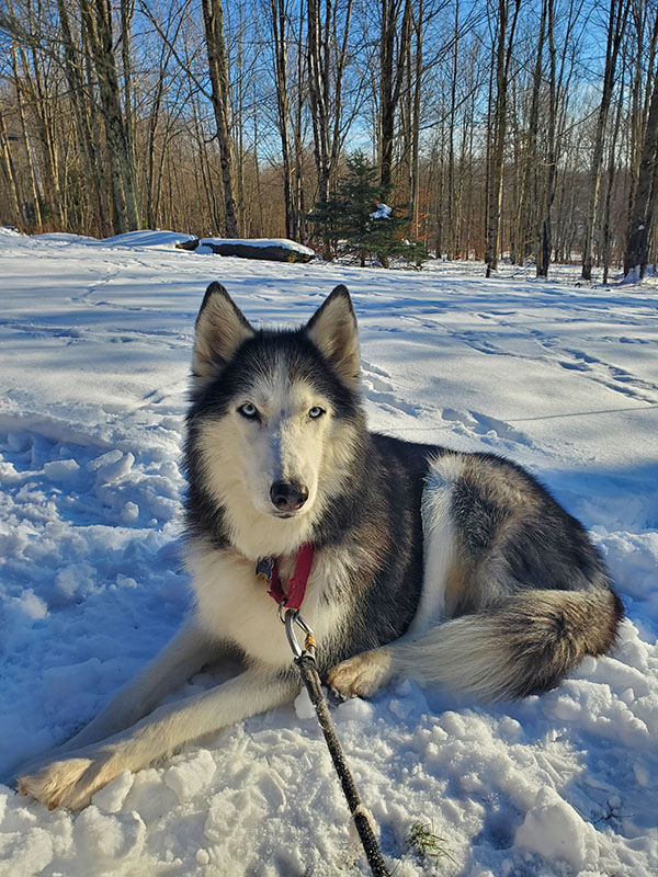 for-those-weve-lost-mia