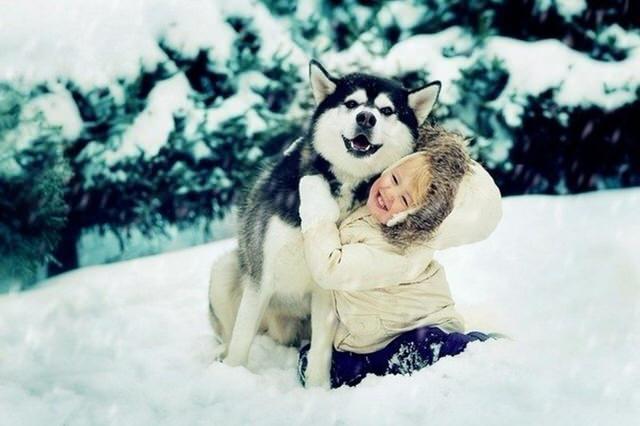 are huskies friendly with kids