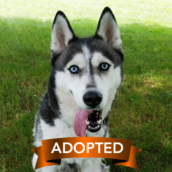 michelle-adopted