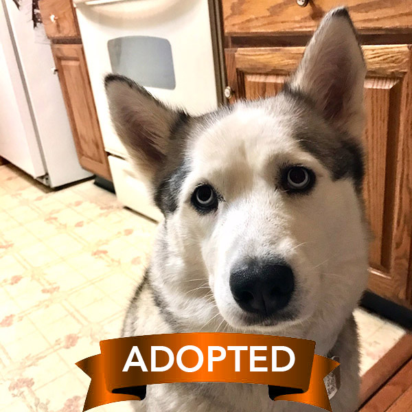 nakita-adopted