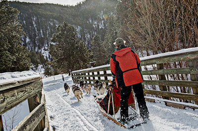 sledding